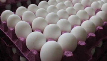 Yumurta üreticileri kartel olmuş