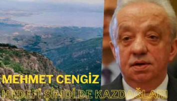 Mehmet Cengiz'in hedefi Kazdağları: Maden için ağaç kıyımı yapacak