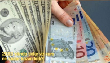 Dolar ve Euro 2023 yılında ne kadar kazandırdı?