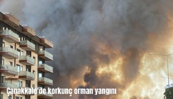 Çanakkale'de korkunç orman yangını: 9 yerleşim yeri tahliye edildi