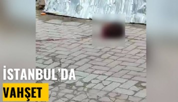 İstanbul'da vahşet: Arkadaşının başını kesip camdan attı