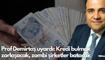 Prof Demirtaş uyardı: Kredi bulmak zorlaşacak, zombi şirketler batacak