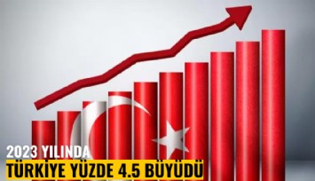 2023 yılında Türkiye yüzde 4.5 büyüdü: Salgın yılından bu yana en düşük büyüme