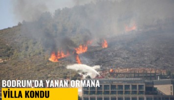Bodrum'da yanan ormana villa kondu