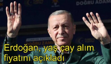 Erdoğan, yaş çay alım fiyatını açıkladı: 11 TL 30 kuruş