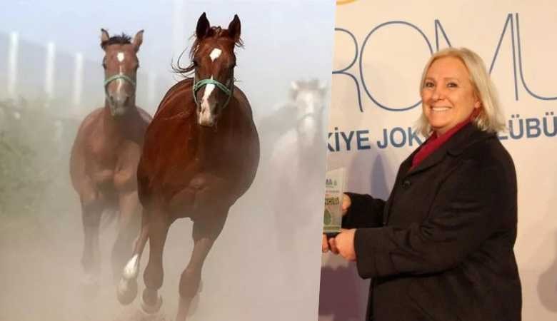 İş kadınından TİGEM'e 'Ayıplı yarış atı sattın' davası