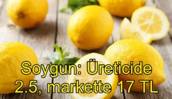 Limonda büyük soygun: Üreticide 2.5 TL, markette 17 TL