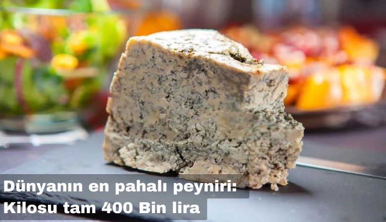 Dünyanın en pahalı peyniri: Kilosu tam 400 Bin lira