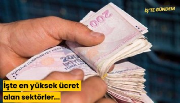 İşte en yüksek ücret alan sektörler...