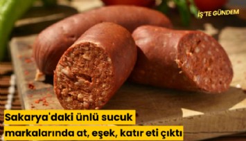 Sakarya'daki ünlü sucuk markalarında at, eşek, katır eti çıktı