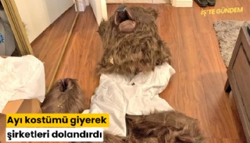 Ayı kostümü giyerek şirketleri dolandırdı