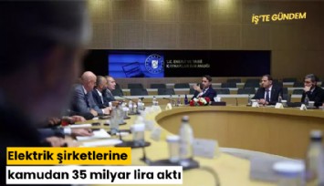 Elektrik şirketlerine kamudan 35 milyar lira aktı