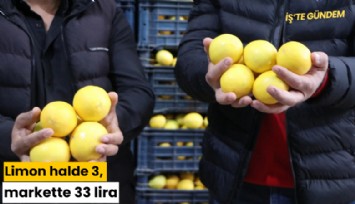 Limon halde 3, markette 33 lira