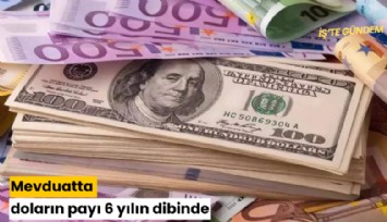 Mevduatta doların payı 6 yılın dibinde