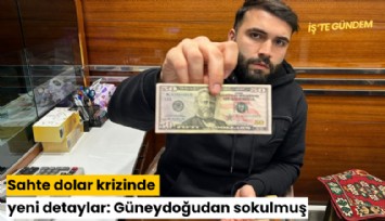 Sahte dolar krizinde yeni detaylar: Güneydoğudan sokulmuş
