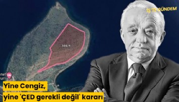 Yine Cengiz, yine 'ÇED gerekli değil' kararı