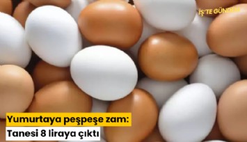 Yumurtaya peşpeşe zam: Tanesi 8 liraya çıktı