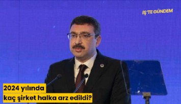 2024 yılında kaç şirket halka arz edildi?