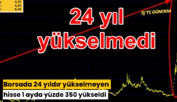 Borsada 24 yıldır yükselmeyen hisse 1 ayda yüzde 350 yükseldi
