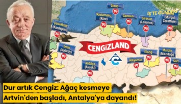 Dur artık Cengiz: Ağaç kesmeye Artvin'den başladı, Antalya'ya dayandı!