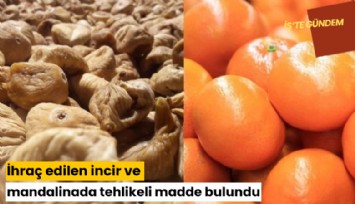 İhraç edilen incir ve mandalinada tehlikeli madde!