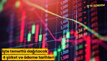 İşte temettü dağıtacak 4 şirket ve ödeme tarihleri