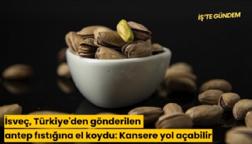 İsveç, Türkiye'den gönderilen antep fıstığına el koydu: Kansere yol açabilir