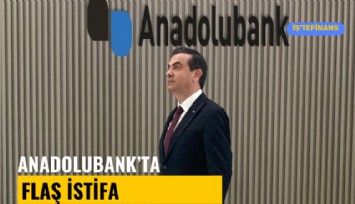 Anadolubank Genel Müdürü Namık Ülke istifa etti