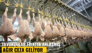 Tavukçular fiyatta anlaşmış: Ağır ceza geliyor