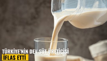 Türkiye'nin dev süt üreticisi iflas etti