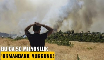 Bu da 50 milyonluk 'Ormanbank' vurgunu!
