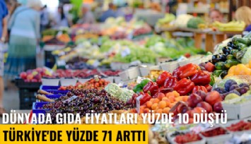 Dünyada gıda fiyatları yüzde 10 düştü, Türkiye'de yüzde 71 arttı