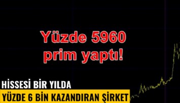 Hissesi 1 yılda yüzde 6 bin prim yapan şirket