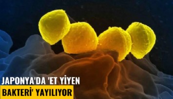 Japonya'da 'Et yiyen bakteri' yayılıyor