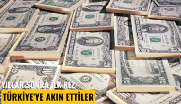 Yıllar sonra ilk kez Türkiye'ye akın ettiler