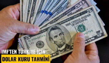 IMF'ten Türkiye için dolar kuru tahmini