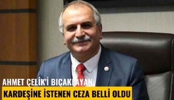 Yeni Çağ'ın patronu Ahmet Çelik'i bıçaklayan kardeşine istenen ceza belli oldu