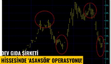 Dev gıda şirketi hissesinde 'Asansör' operasyonu!