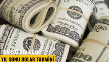 Fransız devinden yıl sonu dolar tahmini