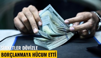 Şirketler dövizle borçlanmaya hücum etti