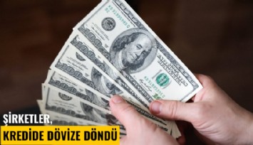 Şirketler, kredide dövize döndü