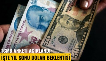 TCMB anketi açıklandı: İşte yıl sonu dolar beklentisi
