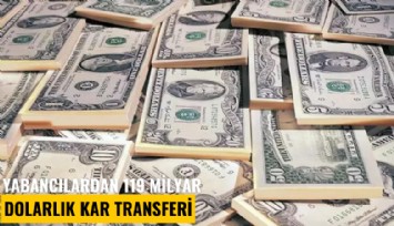 Yabancılardan 119 milyar dolarlık kar transferi