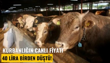 Kurbanlığın canlı fiyatı 40 lira birden düştü!
