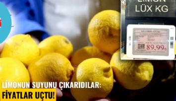 Limonun suyunu çıkardılar: Fiyatlar uçtu!