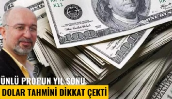 Ünlü Prof'un yıl sonu dolar tahmini dikkat çekti