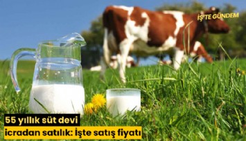 55 yıllık süt devi icradan satılık: İşte satış fiyatı