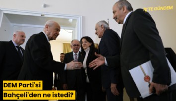 DEM Parti'si Bahçeli'den ne istedi?
