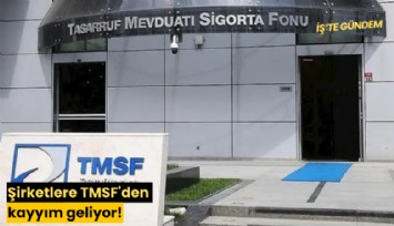 Şirketlere TMSF'den kayyım geliyor!
