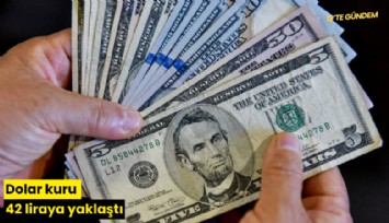 Dolar kuru 42 liraya yaklaştı